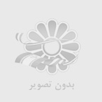 مقایسه استحکام سازه اسکلت فلزی با بتنی